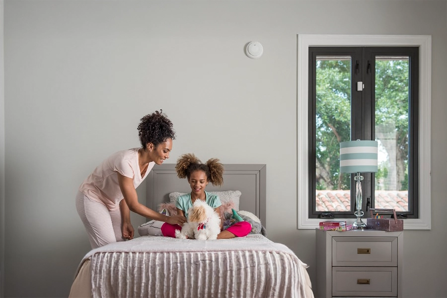 smoke & carbon detector Roanoke